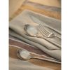 Набор столовых приборов Globe, серебристые, 16 пред., Liberty Jones, изображение 8
