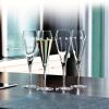 Набор из 12 бокалов для шампанского Willsberger Anniversary Champagne Flute, 240 мл, 1418029, Spiegelau, изображение 4