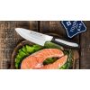 Кухонный нож Деба мини, TOJIRO, изображение 4