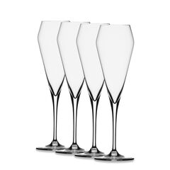 Набор бокалов для шампанского Willsberger Anniversary Champagne Flute, 4 шт., 240 мл, 1416175, Spiegelau