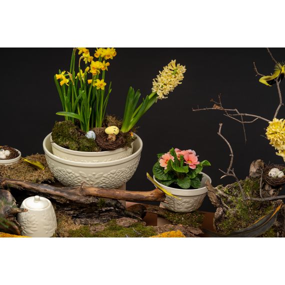 Миска для смешивания Birds of Paradise, 1,5 л, кремовая, Liberty Jones, изображение 5