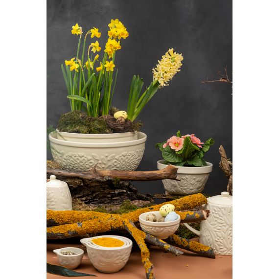 Миска для смешивания Birds of Paradise, 4,2 л, кремовая, Liberty Jones, изображение 6