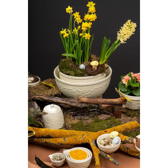 Набор мерных чаш Birds of Paradise, кремовые, 4 шт., Liberty Jones, изображение 8