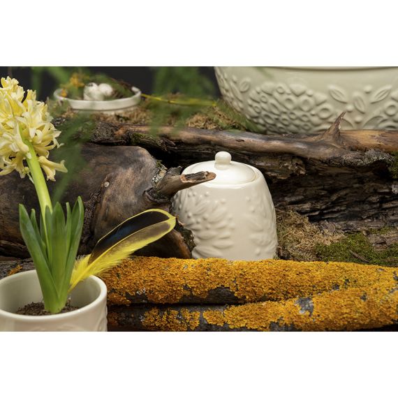 Сахарница Birds of Paradise, 400 мл, кремовая, Liberty Jones, изображение 5