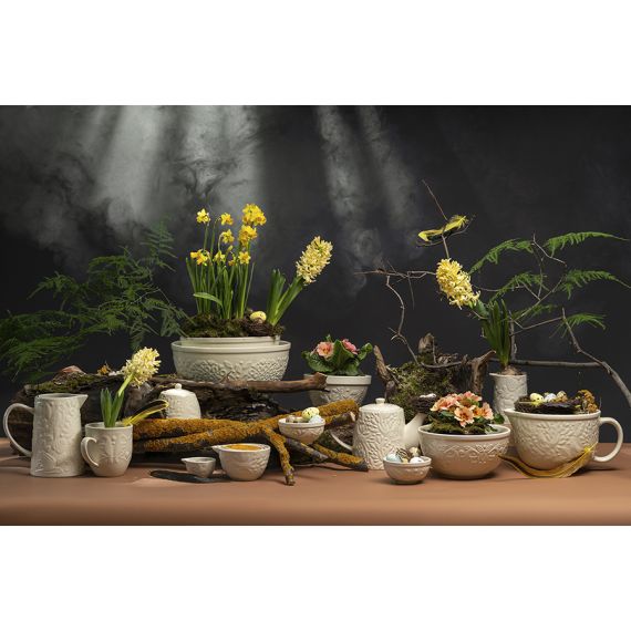 Чайник заварочный Birds of Paradise, 1 л, кремовый, Liberty Jones, изображение 2