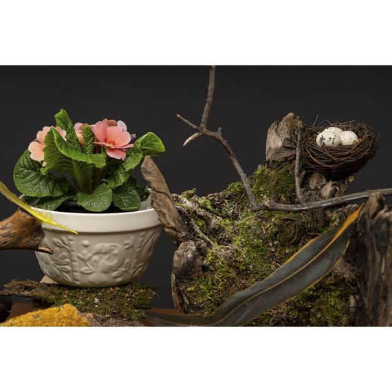 Чаша Birds of Paradise, 850 мл, кремовая, Liberty Jones, изображение 8