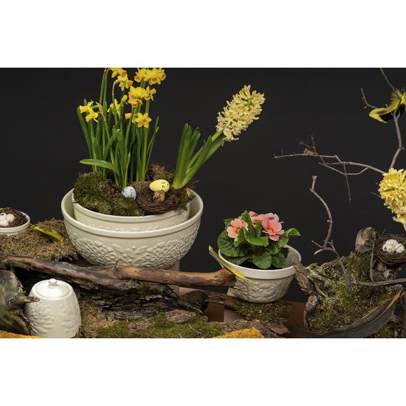 Чаша Birds of Paradise, 850 мл, кремовая, Liberty Jones, изображение 9