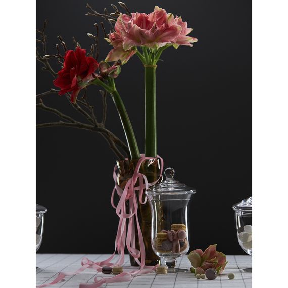 Бонбоньерка Sugary, 29,3 см, Liberty Jones, изображение 3