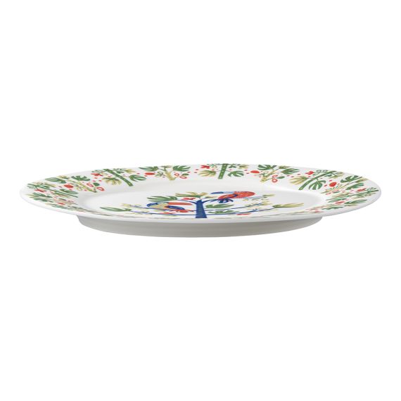 Набор тарелок Toucan из коллекции Birds of Paradise в подарочной упаковке, d 28 см, 2 шт., Liberty Jones, изображение 6