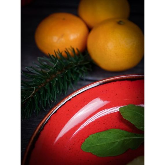 Блюдо овальное 30х15 см, Seasons Красный, Porland, изображение 13