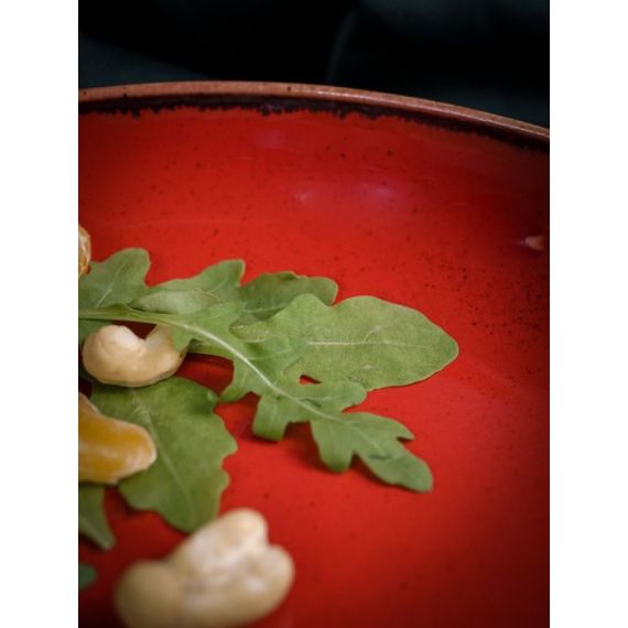 Салатник полуглубокий d 22 см h 4 см 835 мл, Seasons Красный, Porland, изображение 14