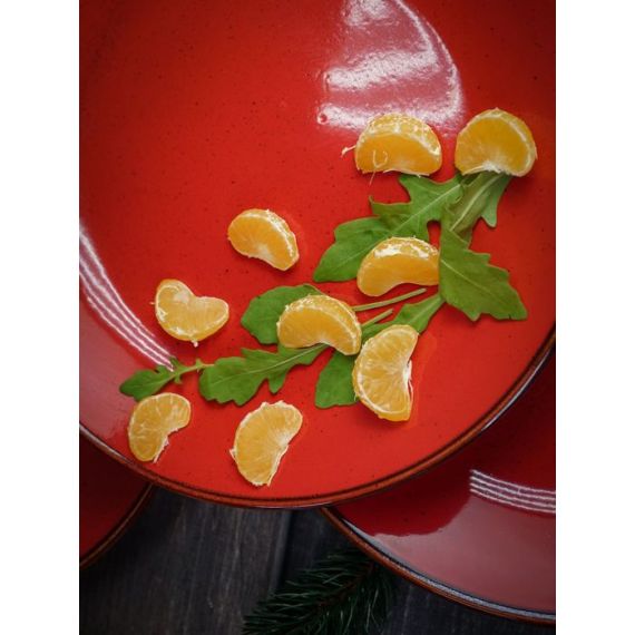 Тарелка 24 см безбортовая, Seasons Красный, Porland, изображение 7