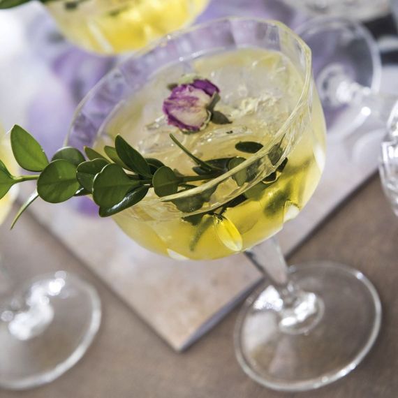 Набор из 6-ти бокалов-блюдец для шампанского RCR Style Opera 240 мл, хрустальное стекло, Италия, изображение 7