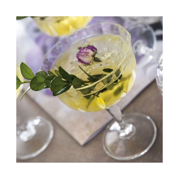 Набор из 2-х креманок RCR Opera Style 240мл, хрустальное стекло, Италия, изображение 6