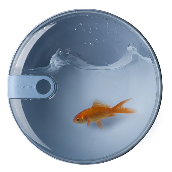 Контейнер круглый 750 мл, цвет голубой, серия Pull box, OMADA, изображение 4